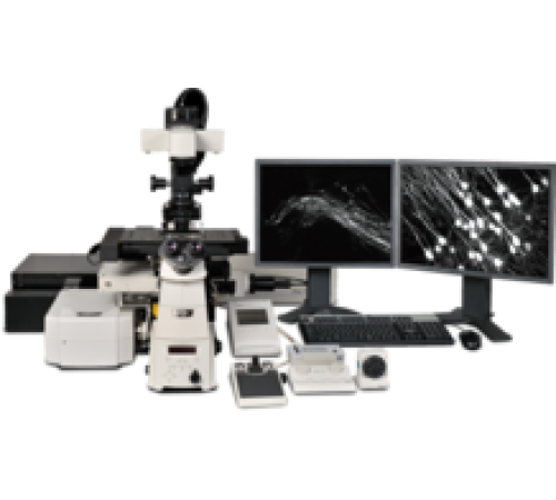 Nikon A1 MP+/A1R MP+ Nikon A1 MP+/A1R MP+