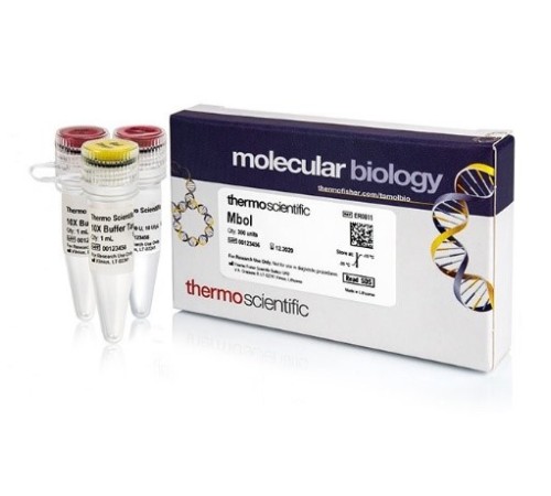 Эндонуклеаза рестрикции MboI (HpaI), 10 е.а./мкл, Fermentas, Thermo FS Эндонуклеаза рестрикции MboI (HpaI), 10 е.а./мкл, Fermentas, Thermo FS