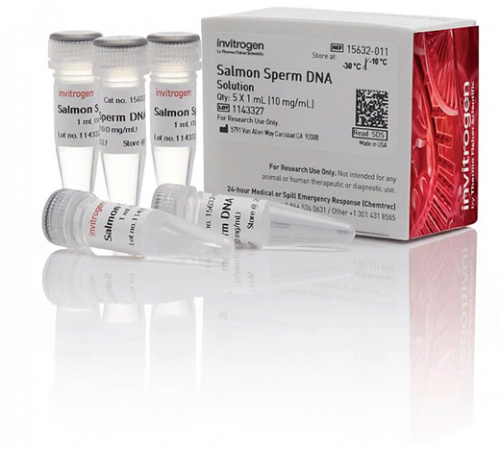 Раствор ДНК спермы лосося/Salmon Sperm DNA Solution, Thermo FS Раствор ДНК спермы лосося/Salmon Sperm DNA Solution, Thermo FS